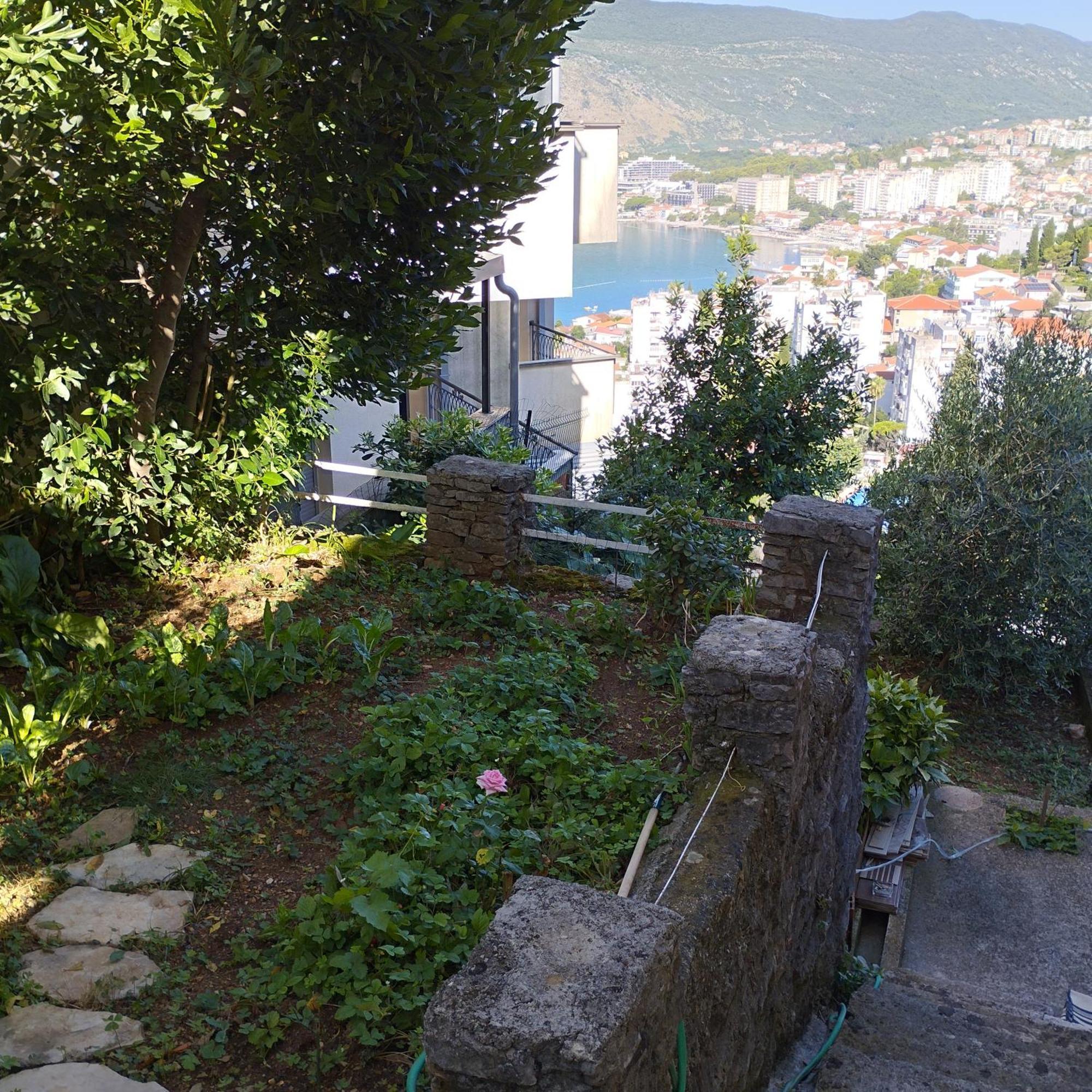 Apartmani Lovor Herceg Novi Phòng bức ảnh